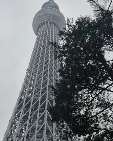 ¡RUMBO A JAPÓN DESDE CINTERMEX! 🚨