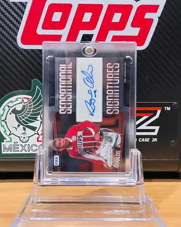 Panini PRIZM